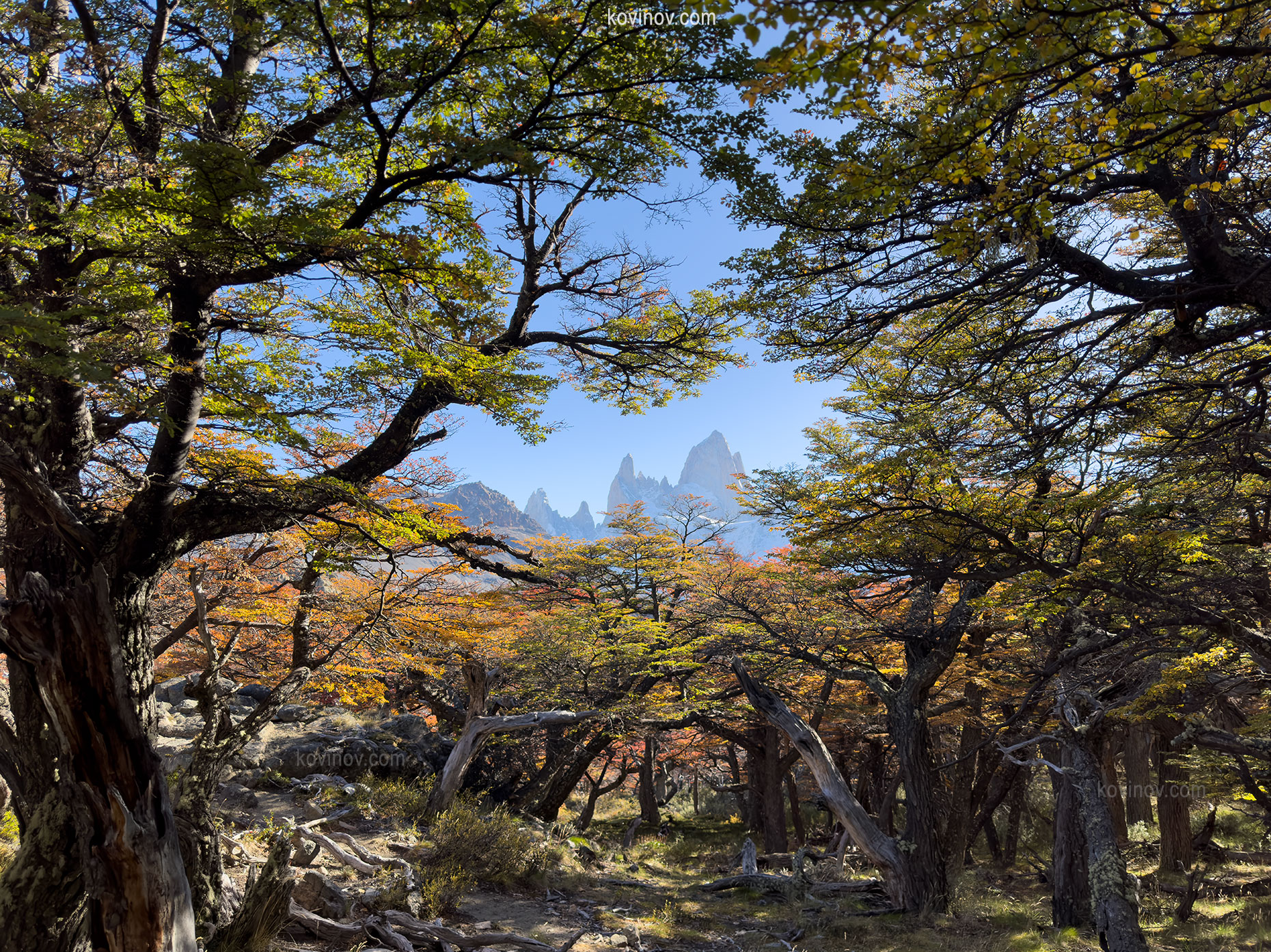 Rio Bianco