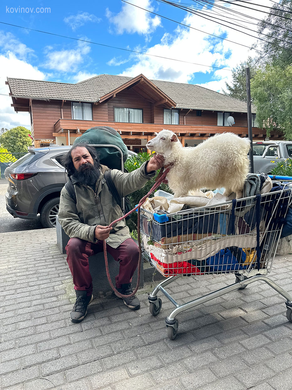 Пукон Чили
