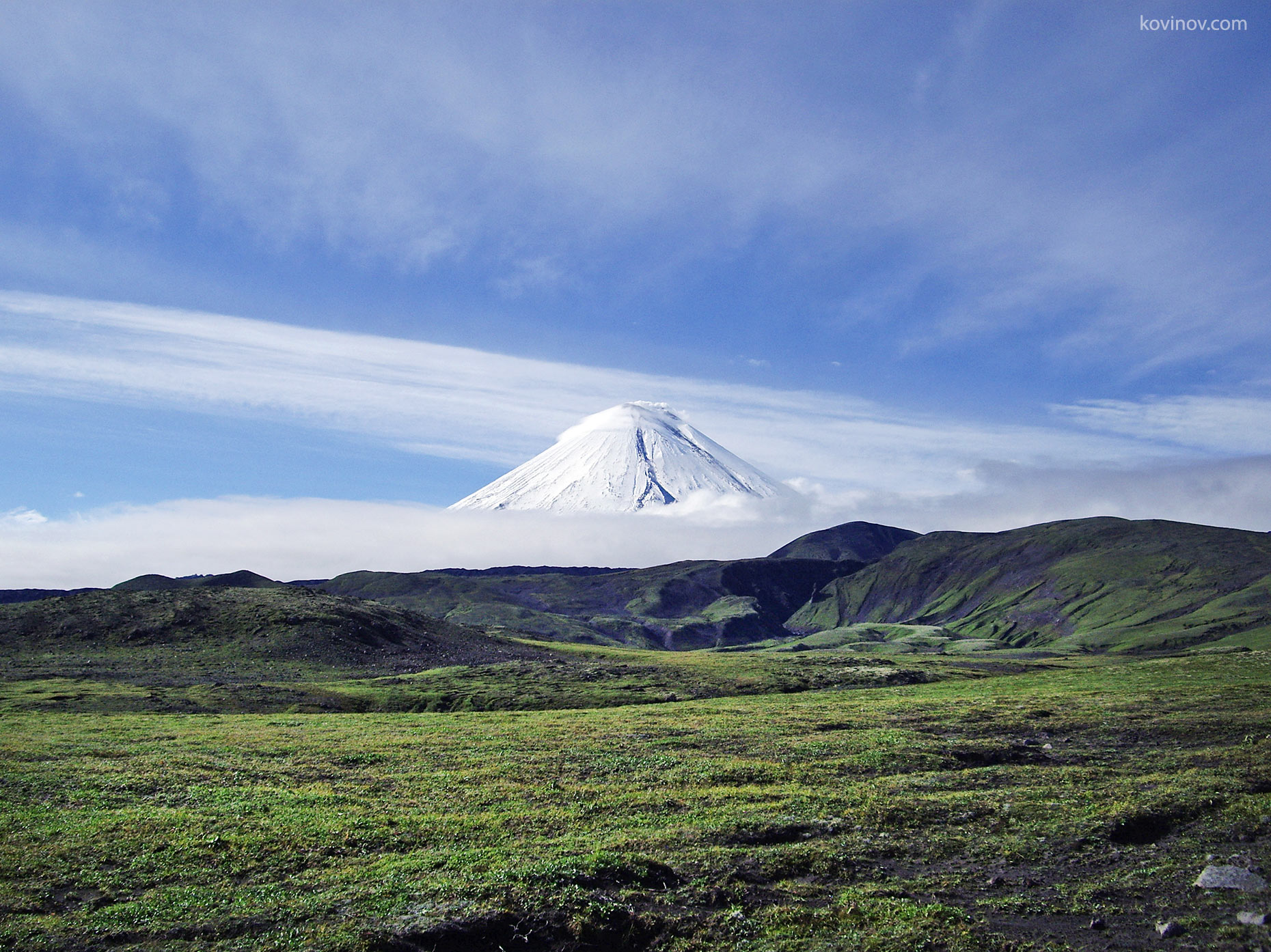 акула