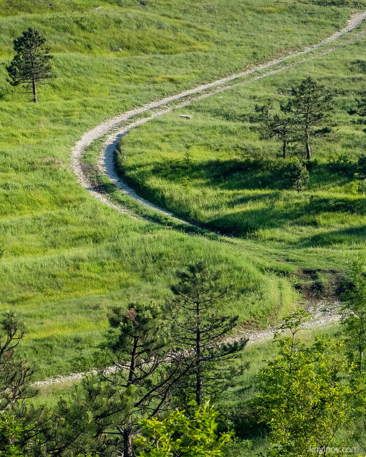 Когда дорога — в радость!