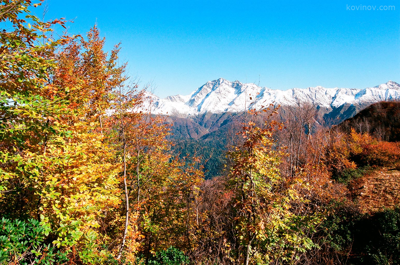 Осенний снег на горах в Красной Поляне