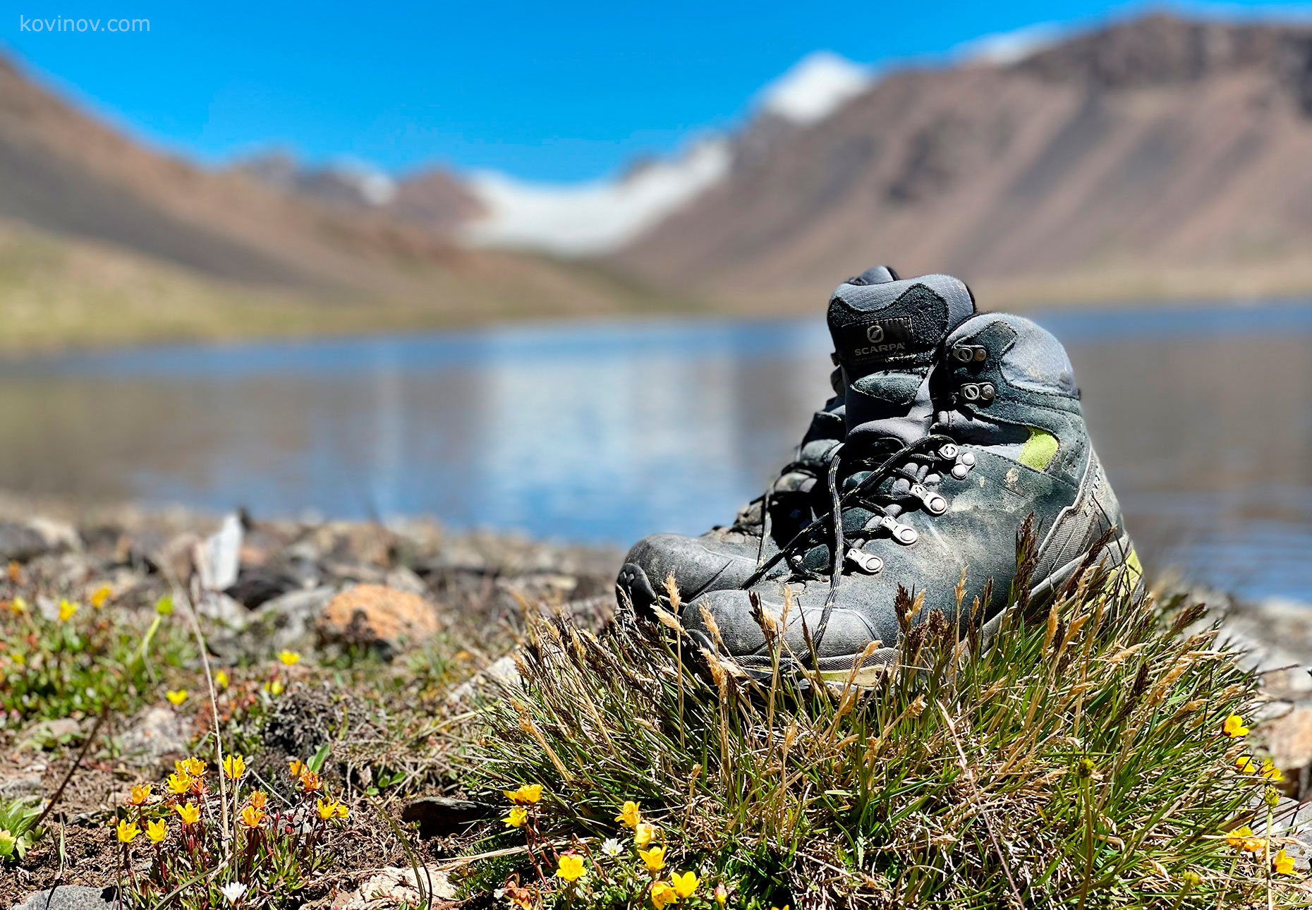    SCARPA ZG Trek GTX